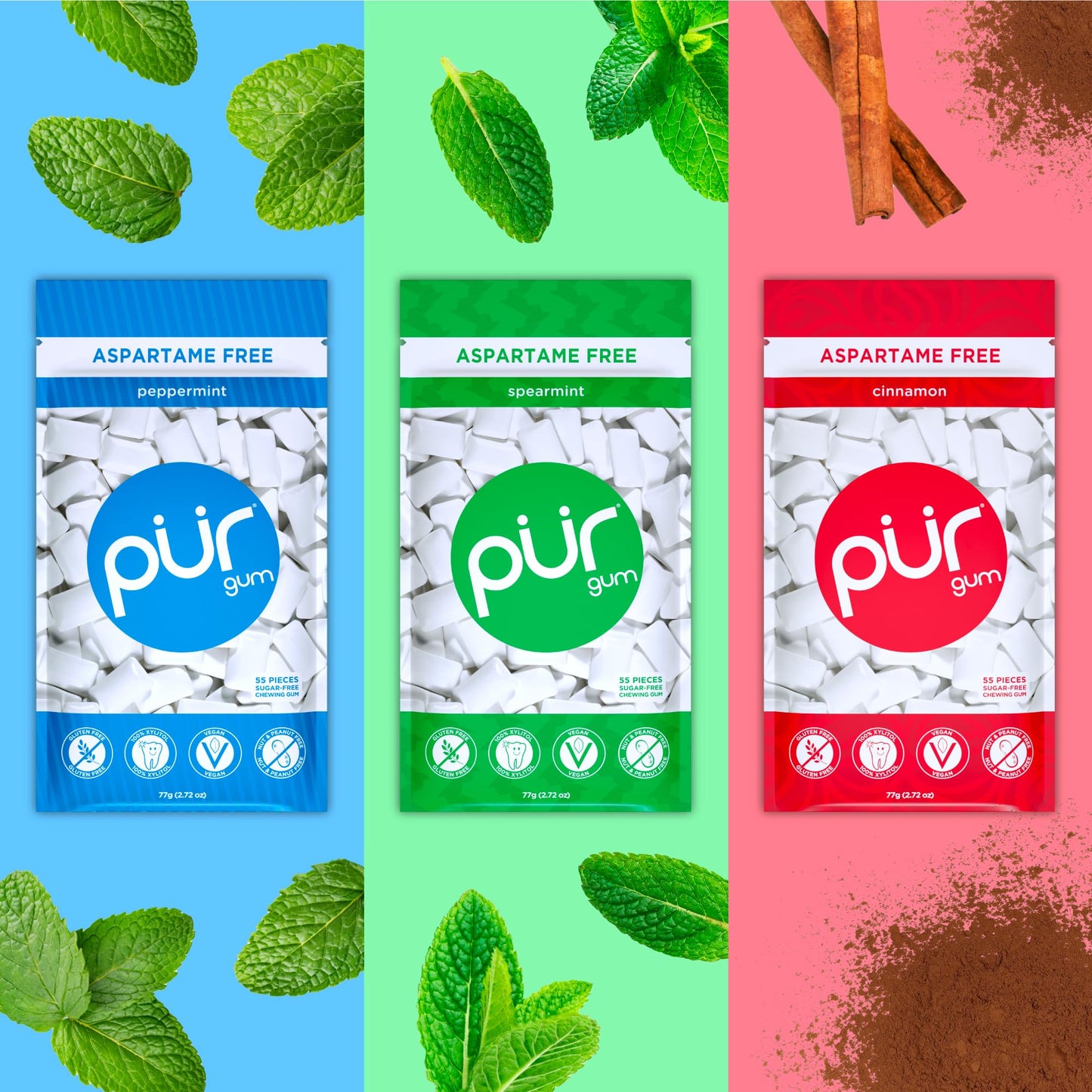 PUR Gum | Aspartame Free Chewing Gum | 100% Xylitol | Natural Flavored Gum, Variety Pack, 55 Pieces (Pack of 3)