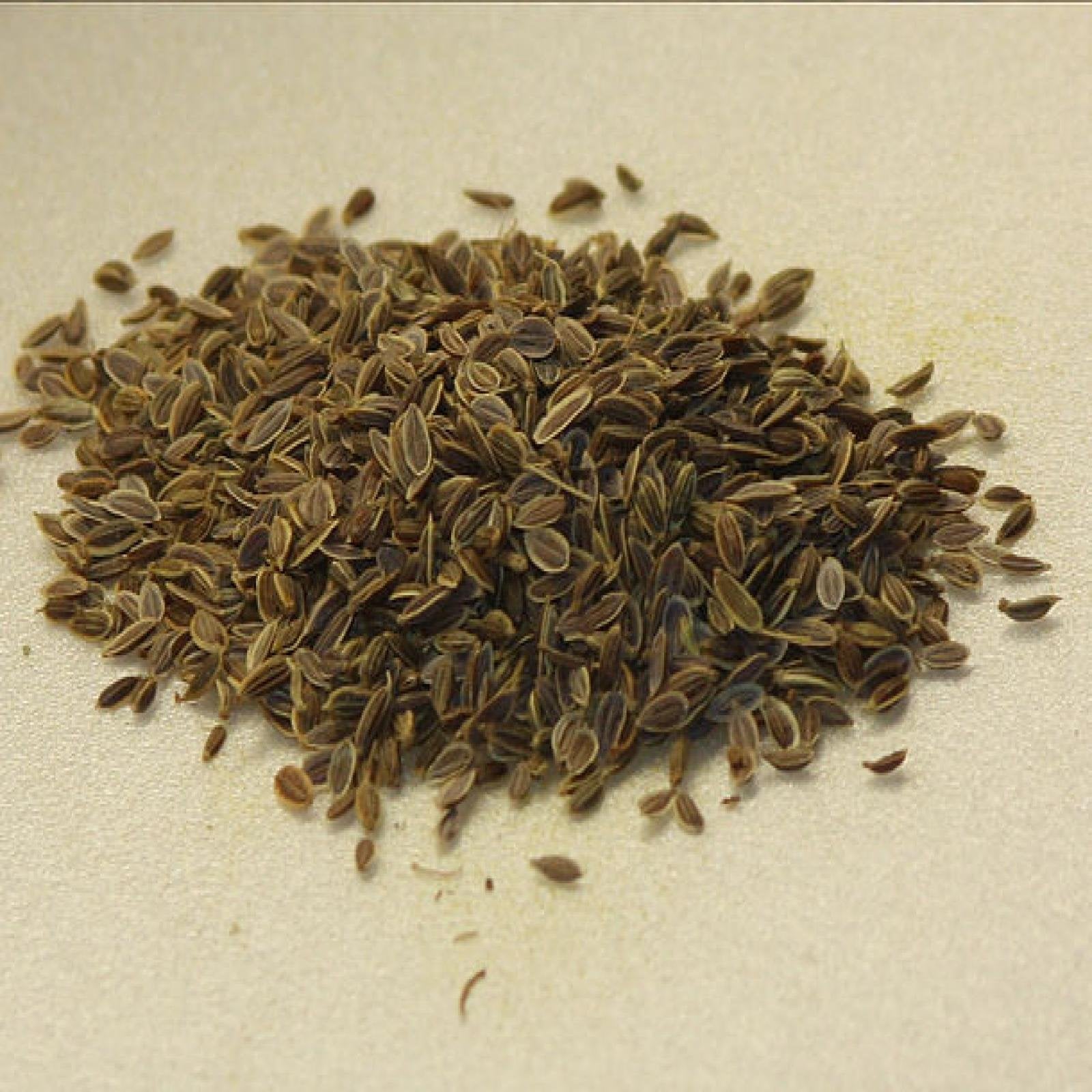 Dill Seeds Whole - 5.01 lb