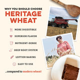 Sunrise Flour Mill USDA Organic Heritage Whole Wheat Pastry Flour - 2 lbs | Great for Gluten Sensitive People | Easier to Digest with Less Bloating |