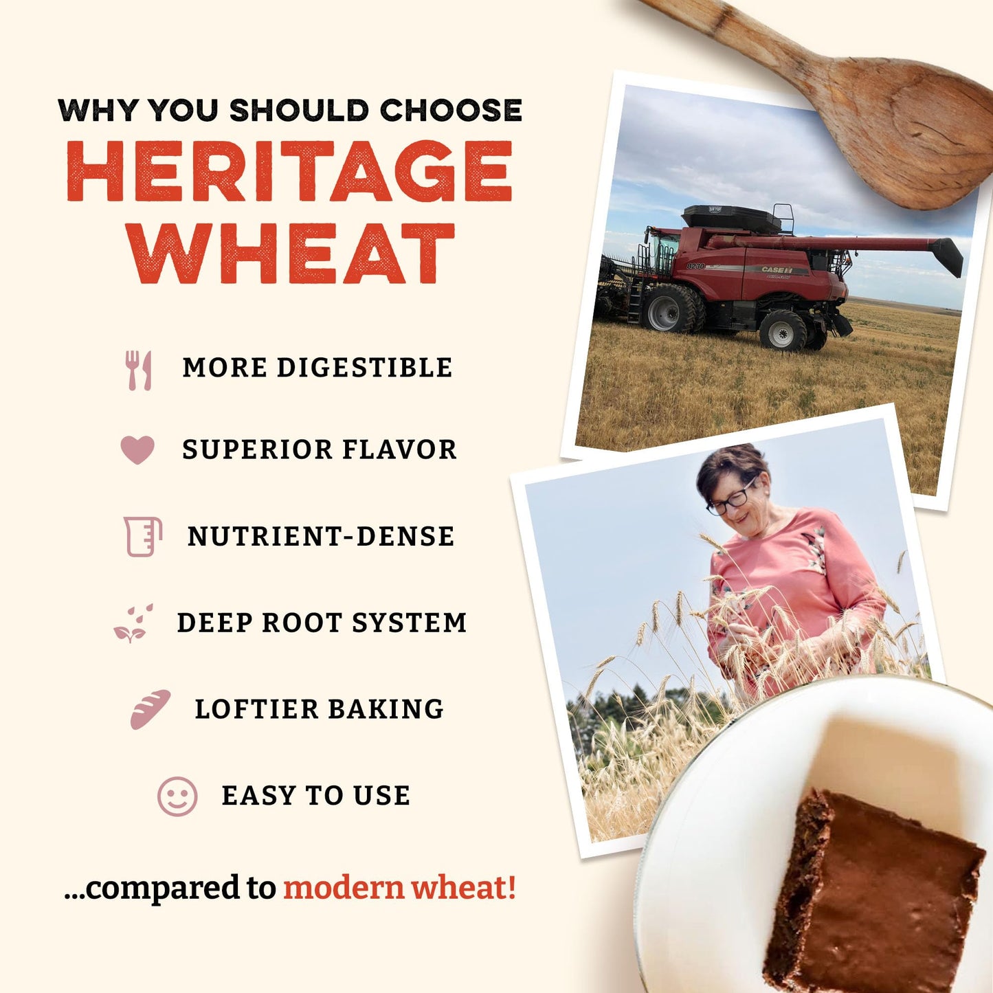 Sunrise Flour Mill USDA Organic Heritage Whole Wheat Pastry Flour - 5 lbs | Milled from White Sonora | Easier to Digest with Less Bloating | No