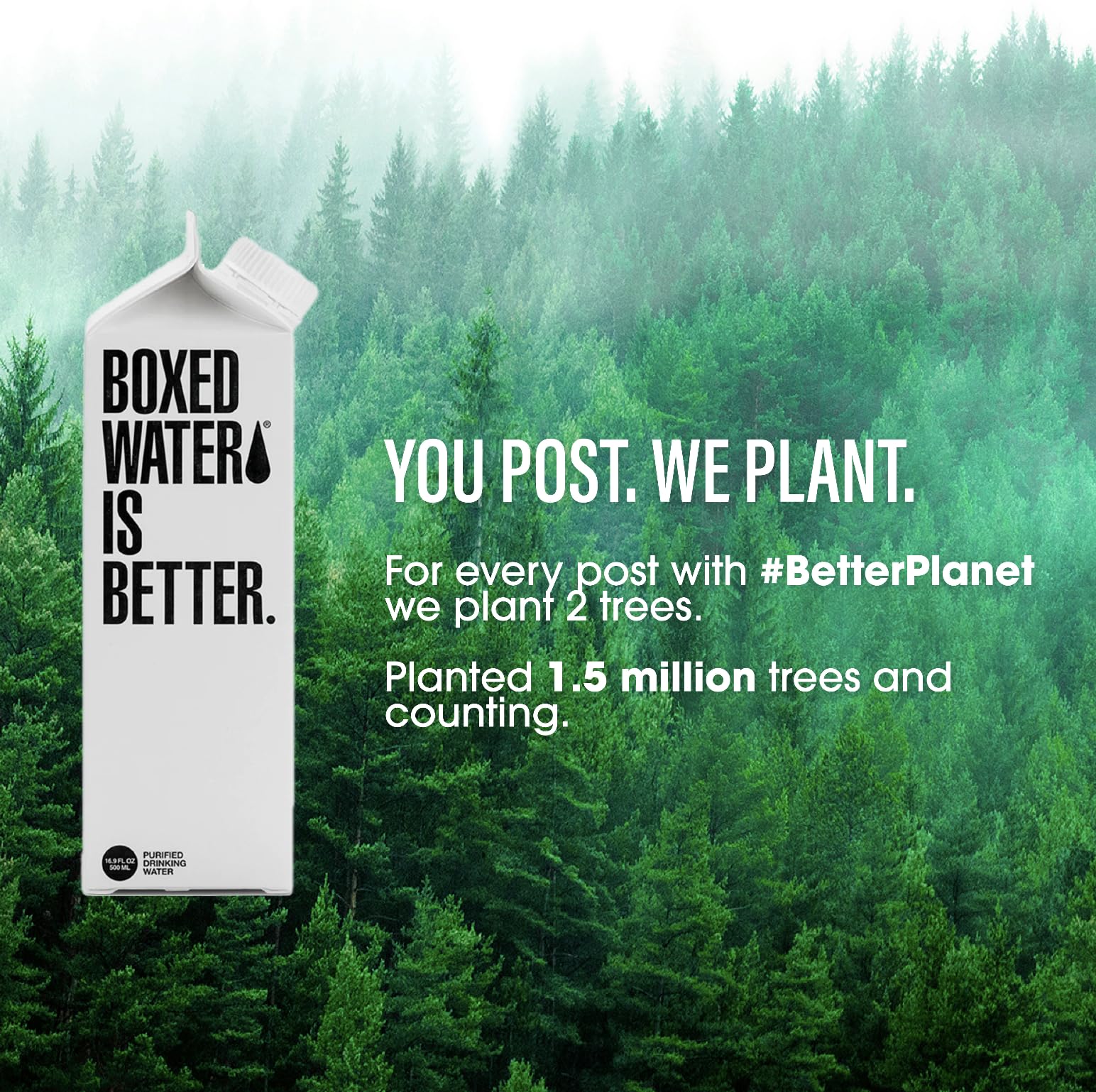 Boxed Water 16.9 oz. (24 Pack) - A Sustainable Alternative - Better Than Premium Plastic Bottles - Purified Drinking Water in Plant-Based Cartons