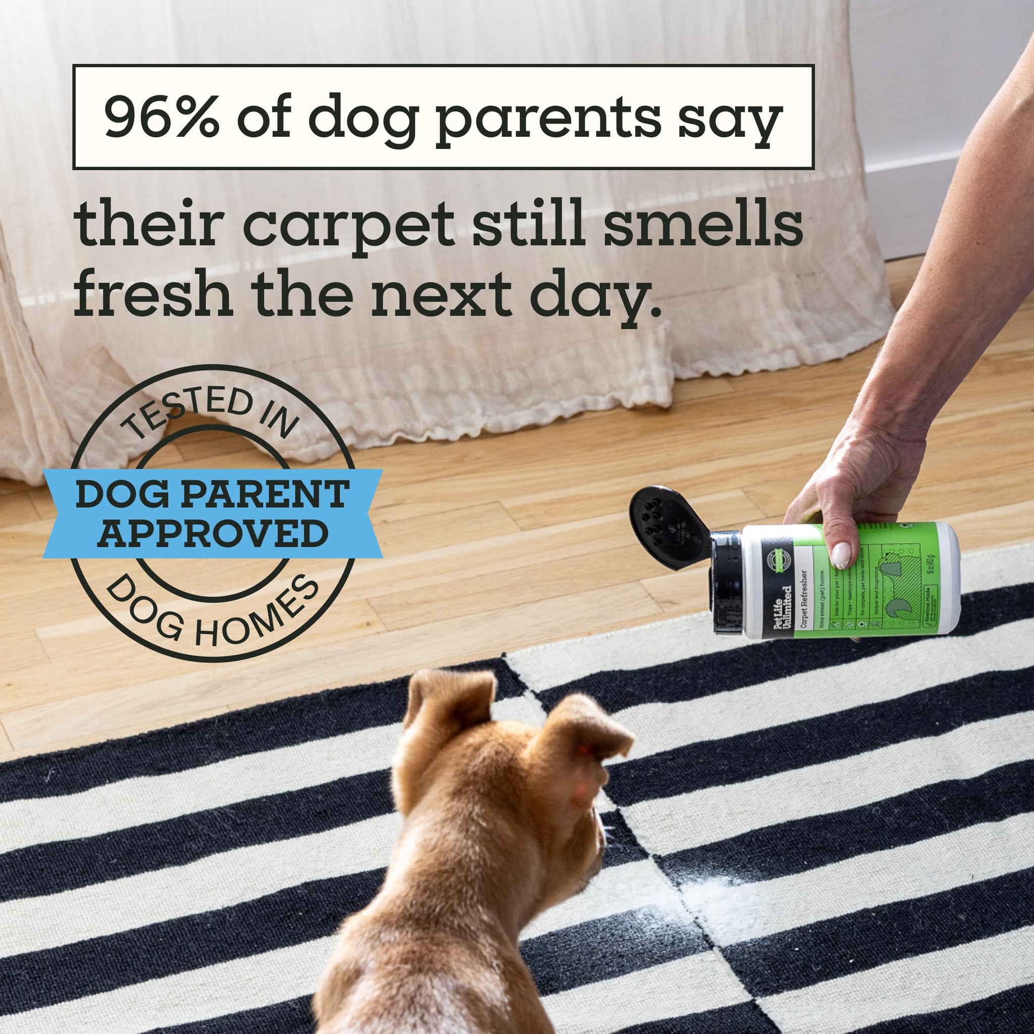 Pet Life Unlimited Carpet Deodorizer Powder, 16 oz, Strong Pet Odor Eliminator & Carpet Freshener, Plant-Based Juniper Leaf Scent, Pet Safe (Pack