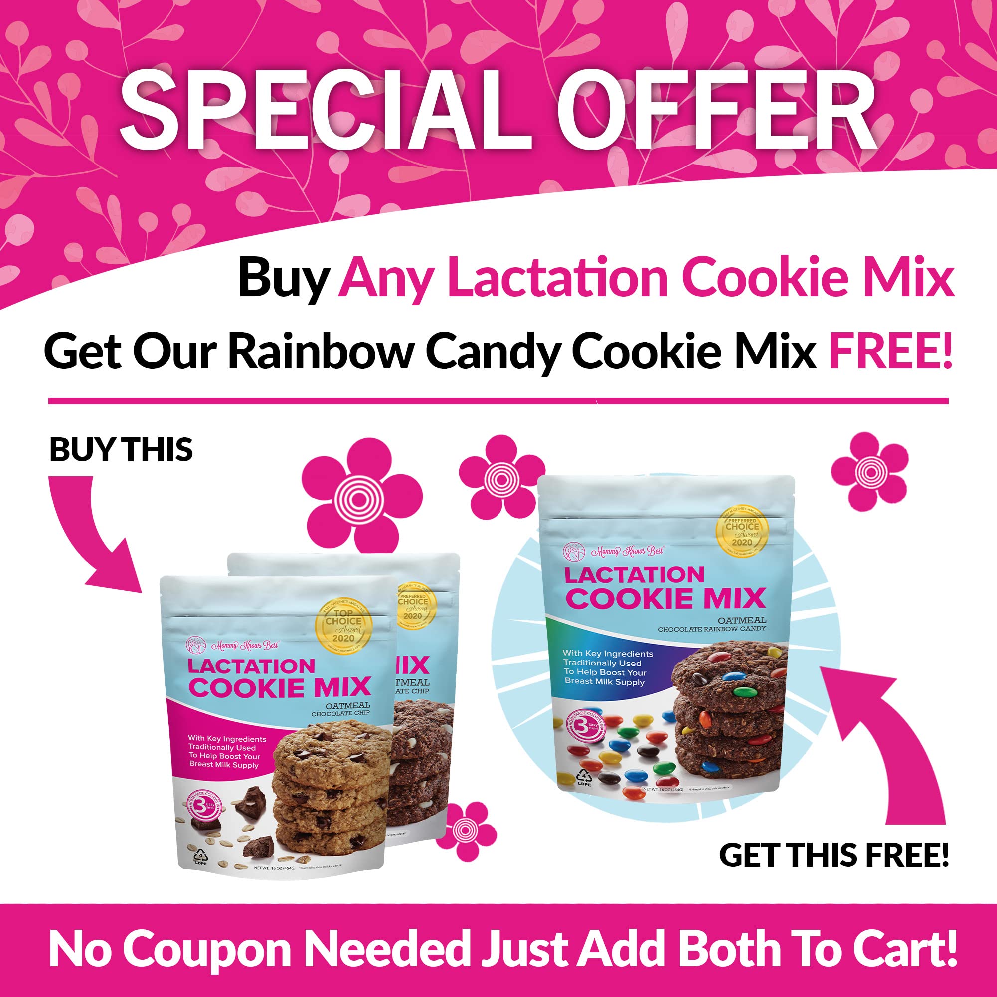 Lactation Cookies Mix - Oatmeal Breastfeeding Cookie Supplement Support for Breast Milk Supply Increase (Cinnamon Raisin, 1 Pound (Pack of 1))