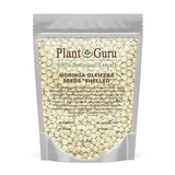 Moringa Seeds Kernel Shelled 16 oz. / 1 lb. - Clean PKM1 Variety - Edible - Moringa Oleifera - Malunggay - Semillas De Moringa - Drumstick Tree