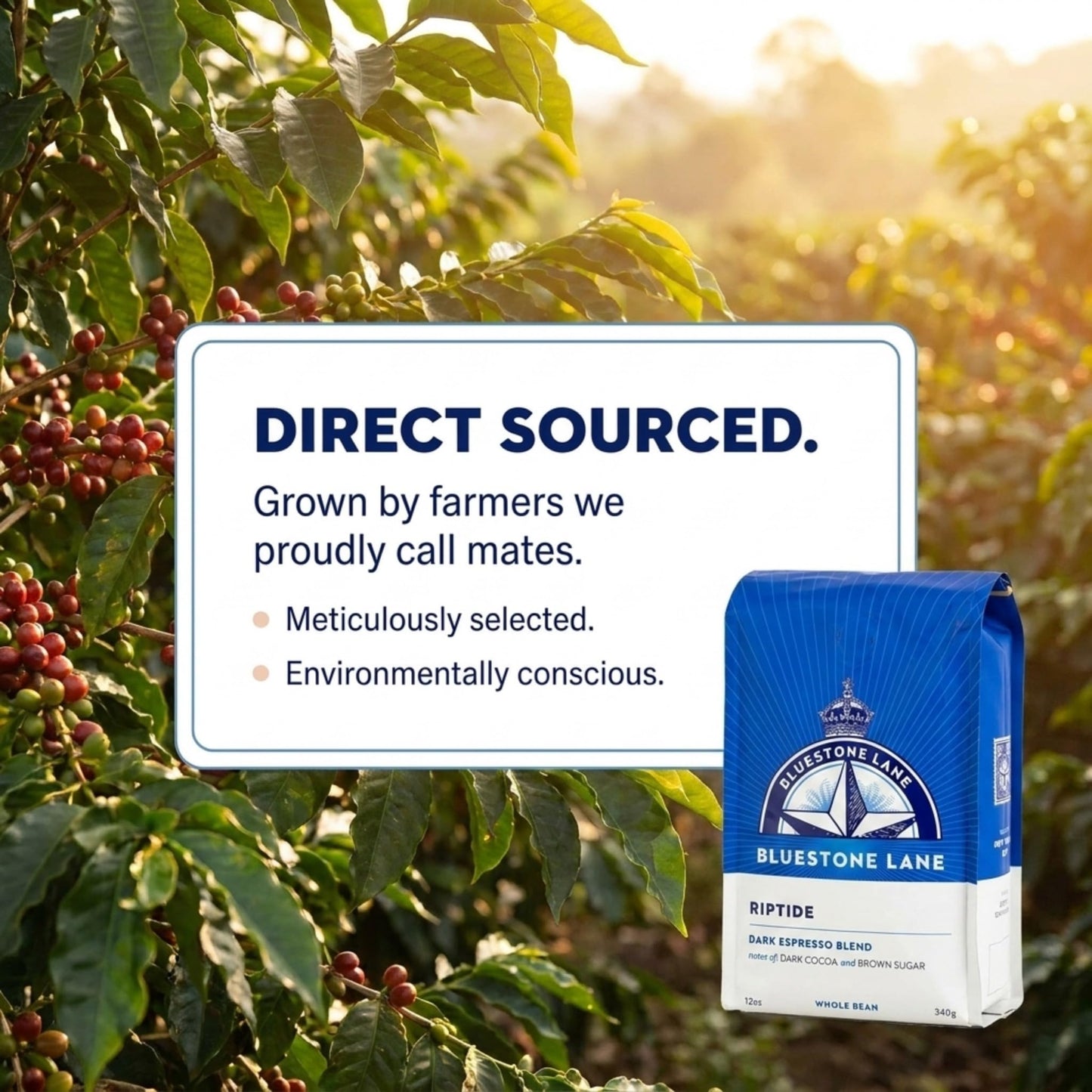 Bluestone Lane Coffee Beans, Riptide Espresso, Dark Roast, Whole Bean, 12 Ounce Bag