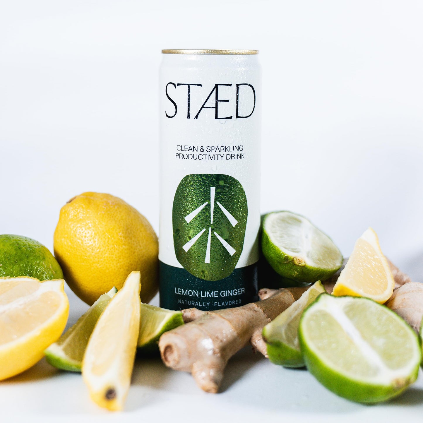 STAED Organic Energy Drinks, Clean Natural Productivity Drink with Cognizin® Citicoline & L-Theanine, Sparkling Functional Beverage, Clean Caffeine