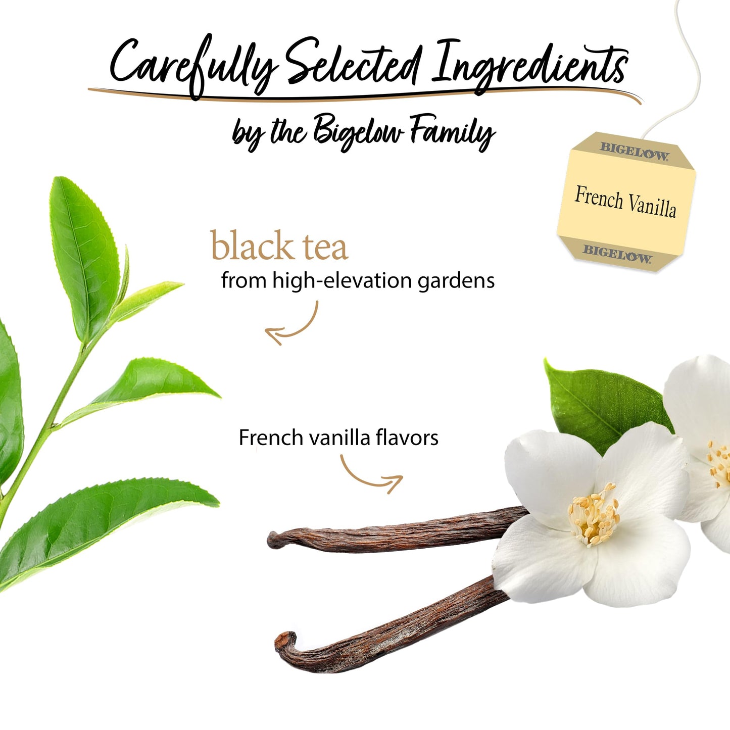 Bigelow French Vanilla Black Tea Bags, 20 Count Box (Pack of 6), Caffeinated Black Tea, 120 Tea Bags Total