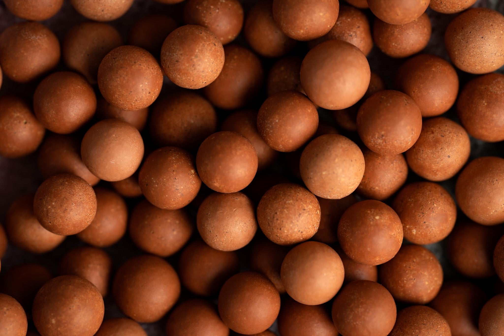 Delicious Pumpkin Spice Malt Balls By RawJoy