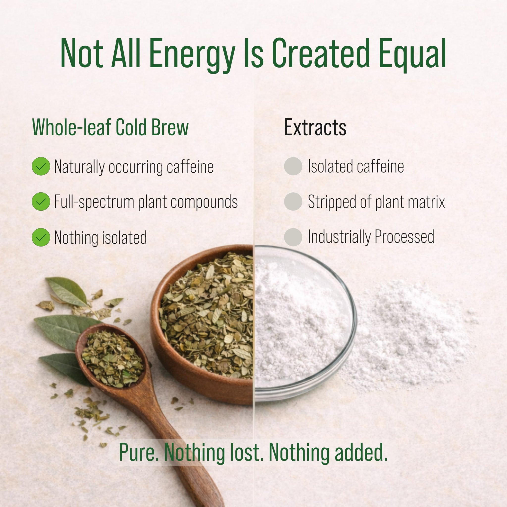 Shrub Fuel Organic Energy Drink - Made With Fresh Brewed Guayusa Tea, 100% Plant Brewed Clean Energy For Calm Focus, Zero Sugar And No Crash, 16 Fl Oz