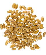 Palouse Brand Certified Glyphosate Residue Free Hard White Wheat Berries | 5 LBS | Non-GMO Project Verified | Kosher