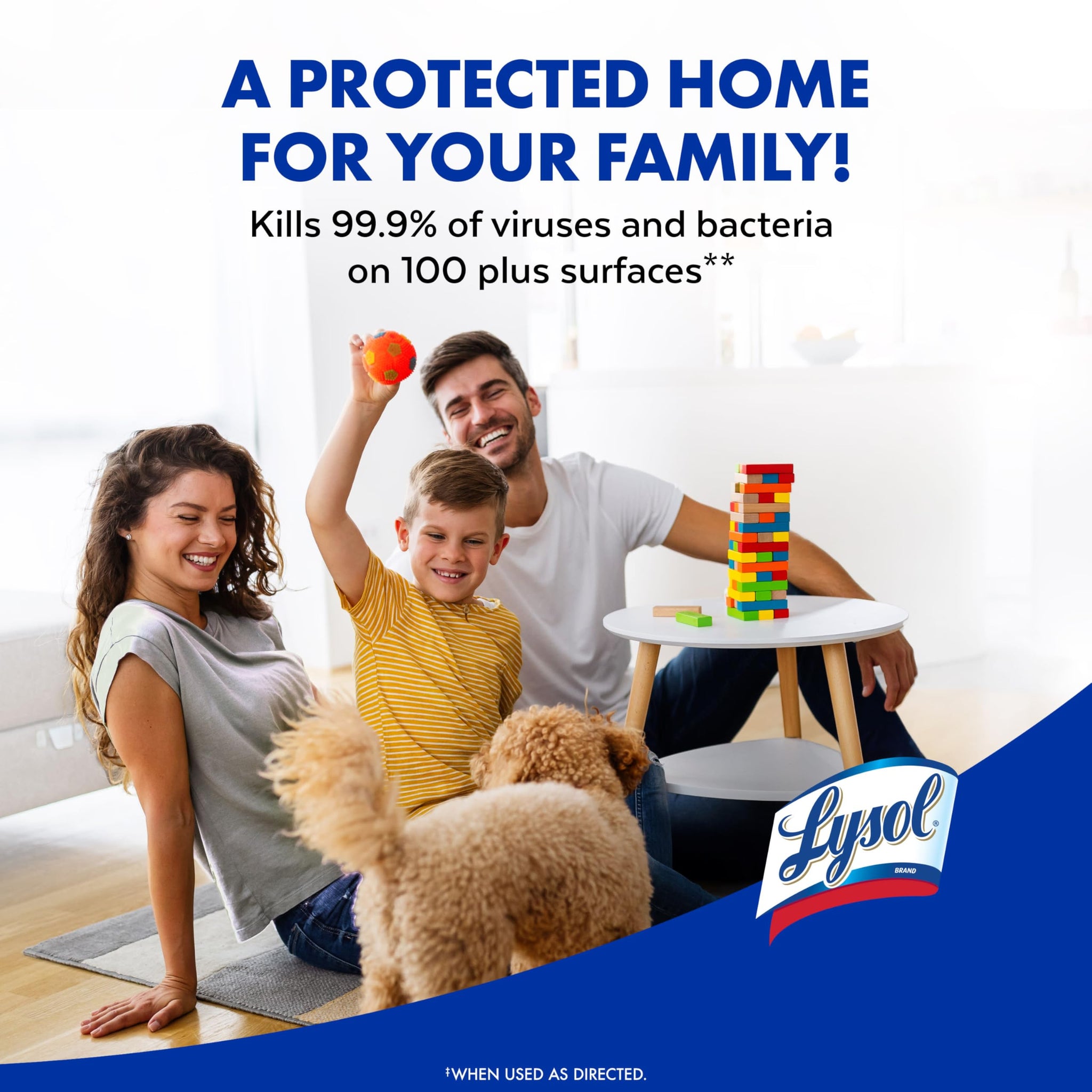 Lysol Disinfectant Spray, Household Cleaning Supplies, Disinfecting Multi-Purpose Room Spray, Antibacterial Sanitizer, Deodorizer, Kills Hantavirus