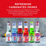 Shirakiku Ramune Variety pack, 6 Count, 6.76 Fl Oz Glass Bottles, Japanese Carbonated Soft Drink