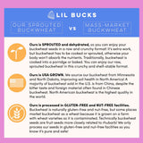 Lil Bucks Clusterbucks Grain-Free Superfood Clusters made with Sprouted Buckwheat and Adaptogens, Gluten Free Snack (Variety 6 Pack - Chocolate
