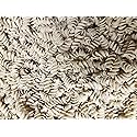 Organic Bread of Heaven ~ High-Fiber Sourdough Fusilli Noodles 2 pkgs ~ USDA Organic