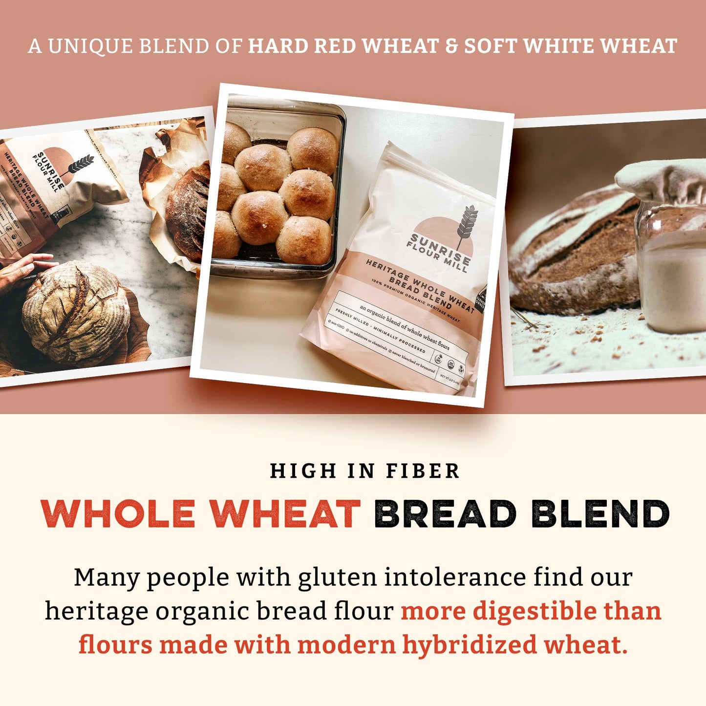 Sunrise Flour Mill Heritage Whole Wheat Bread Blend - 5 lb | USDA Organic All Purpose Flour Unbleached - Non-GMO, Kosher, Grown Without Glyphosate