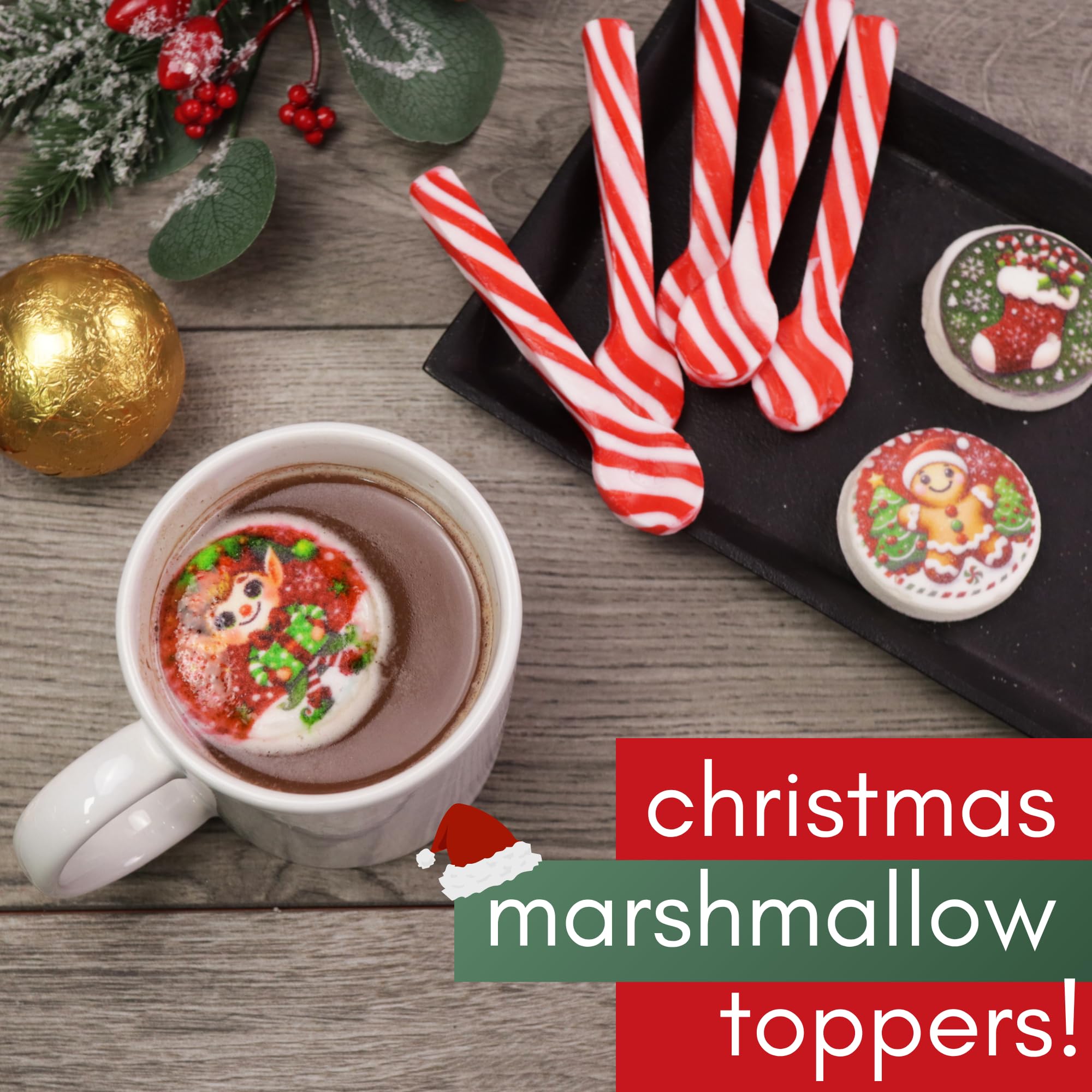 Christmas Marshmallow Toppers, Perfect for Hot Cocoa Toppings or Dessert Decorating Candy, Assorted Holiday Designs (6 Count (2 packs of 3))