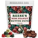 Mini Christmas Candy Holiday Peanut Butter Cups - Red, Green, Gold 1lb - Christmas Candy Bulk - Holiday Sweets for Kids & Adults 1 pound - 16 oz