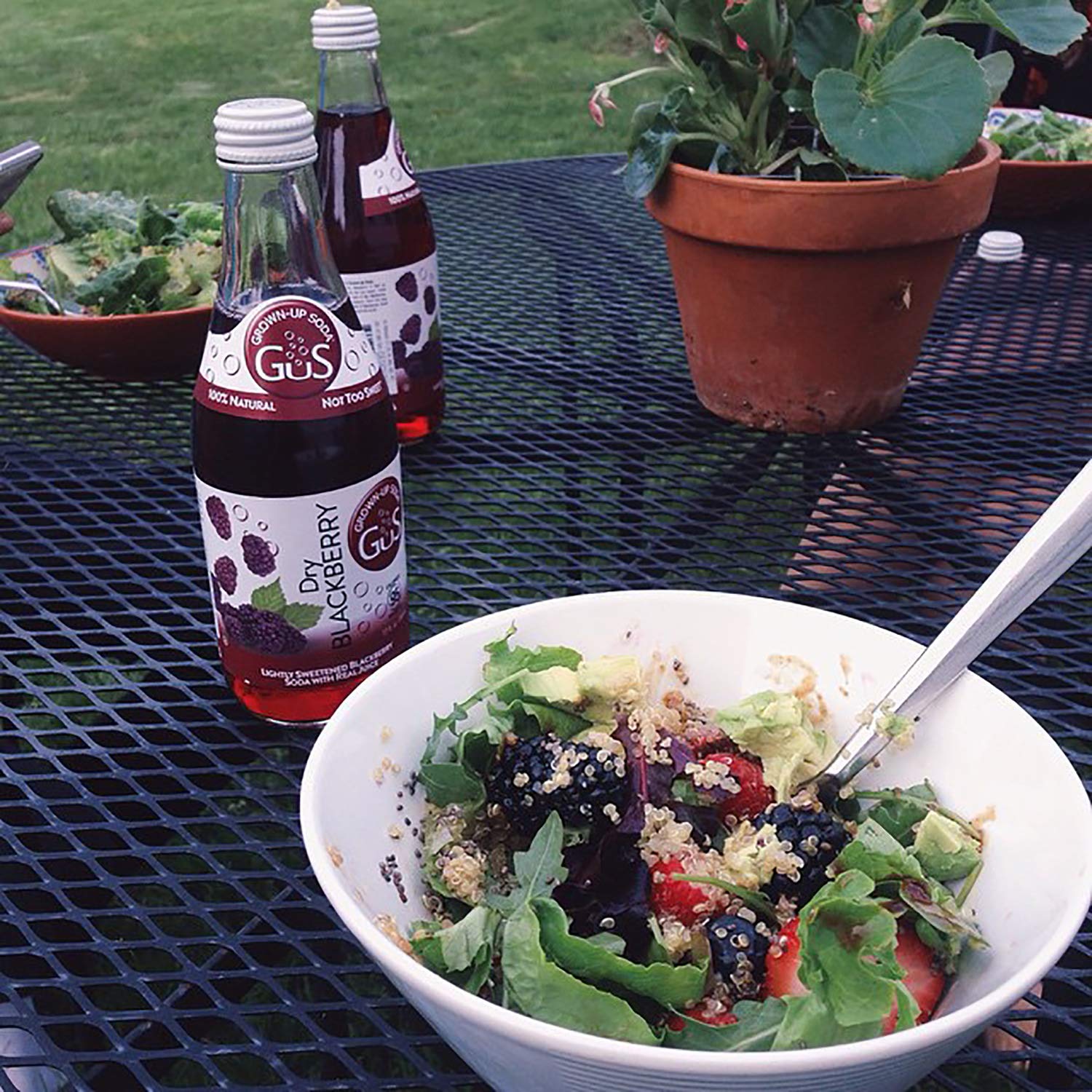 GuS Soda - Dry Blackberry - 12 oz (6 Glass Bottles)