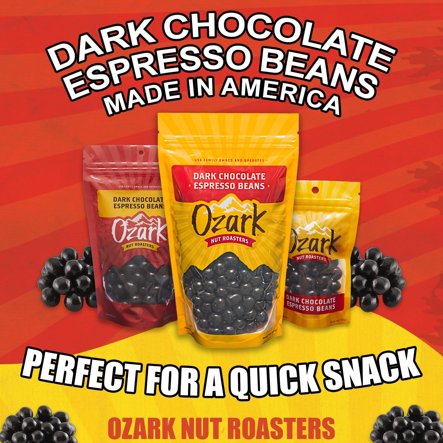 OZARK NUT ROASTERS, Dark Chocolate Espresso Beans, Coffee-Flavored Snacks, World-Class Gourmet Dark Chocolate Coffee Beans, 14 oz, Pack of 1