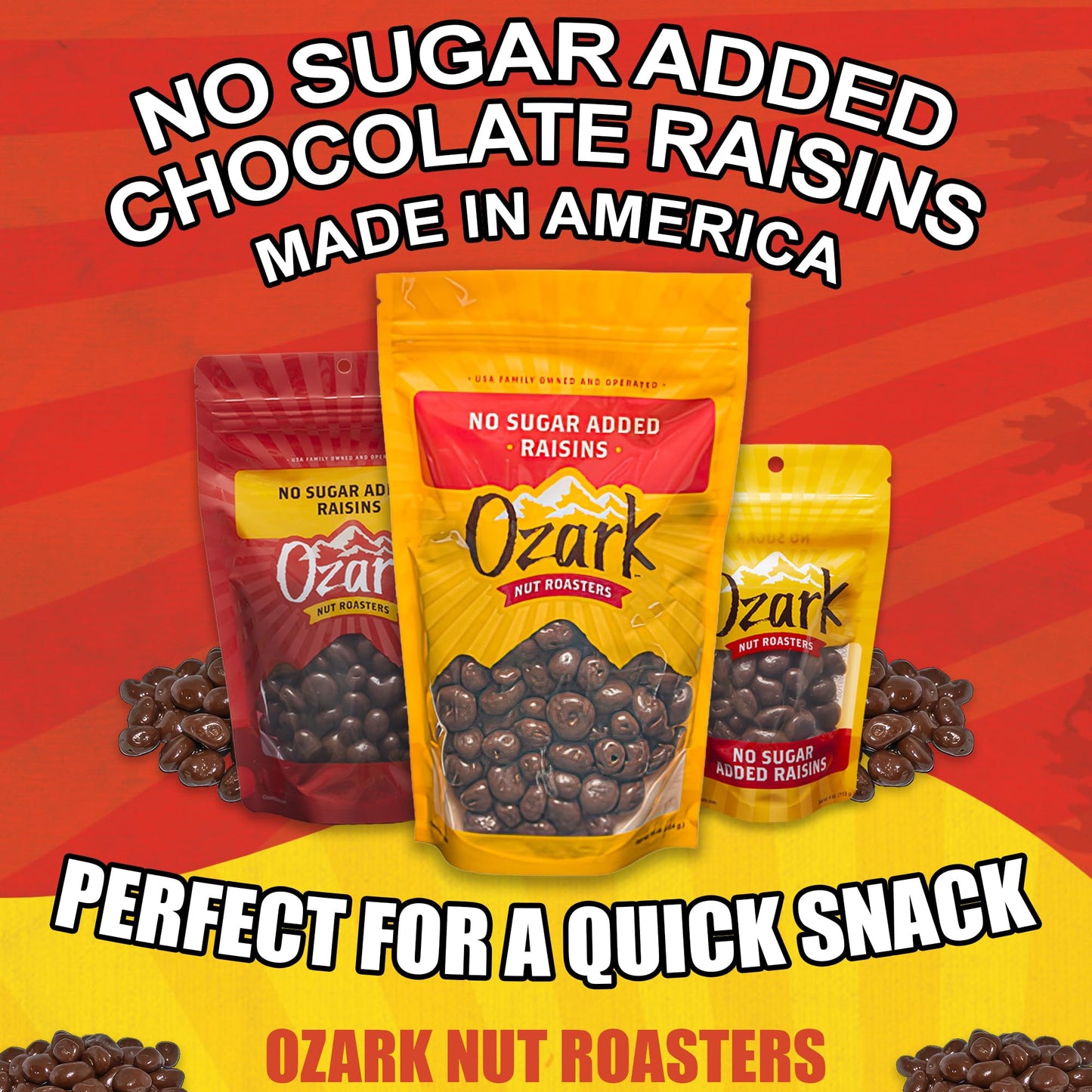 OZARK NUT ROASTERS, No Sugar Added Chocolate Raisins, Gourmet Creamy Milk Chocolate Covered Raisin Snacks, 14 oz, Pack of 1