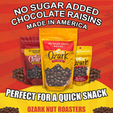 OZARK NUT ROASTERS, No Sugar Added Chocolate Raisins, Gourmet Creamy Milk Chocolate Covered Raisin Snacks, 14 oz, Pack of 1