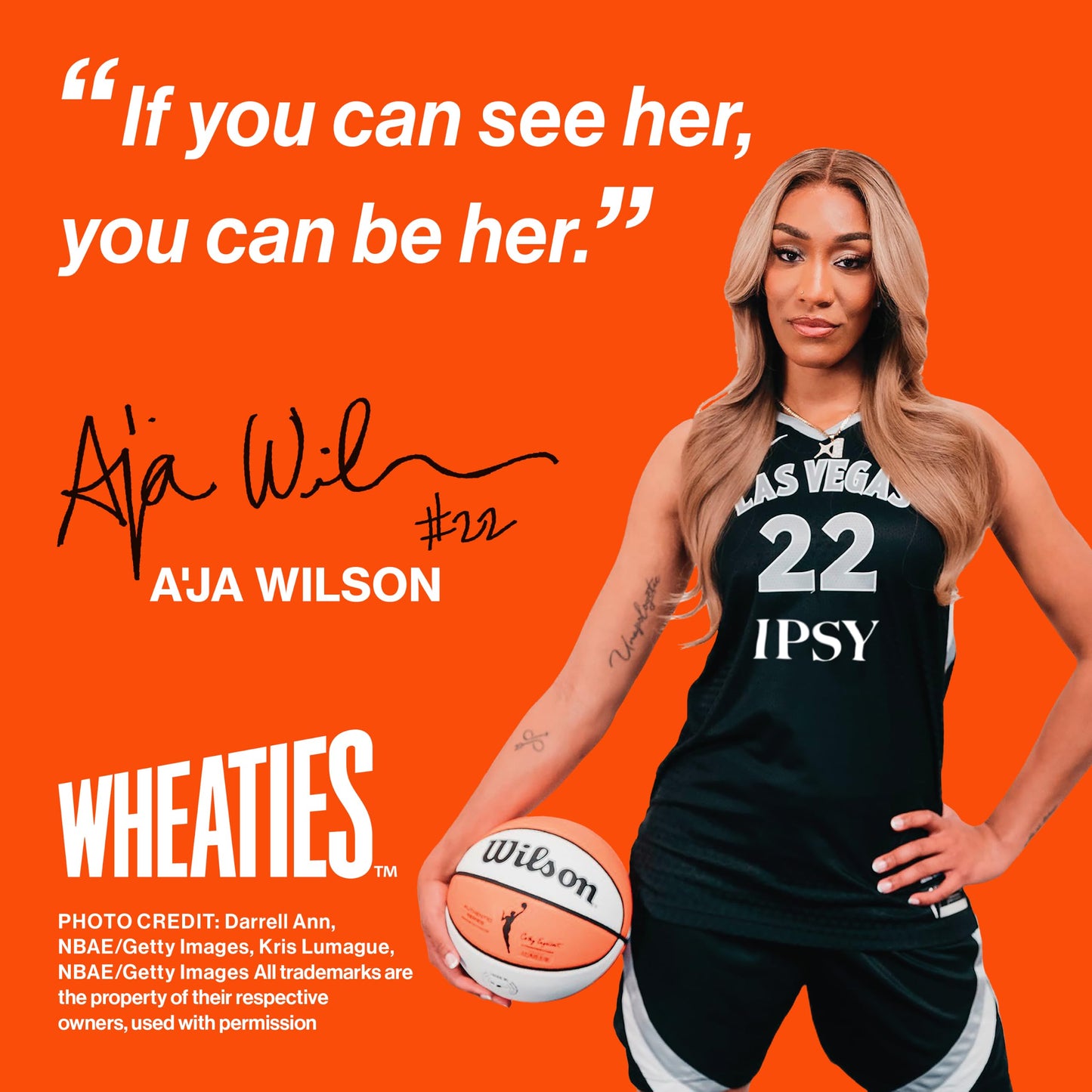 Wheaties Cereal, Breakfast of Champions, A'ja Wilson Cereal Box, 100% Whole Wheat Flakes, Good Source of Fiber, 15.6 oz
