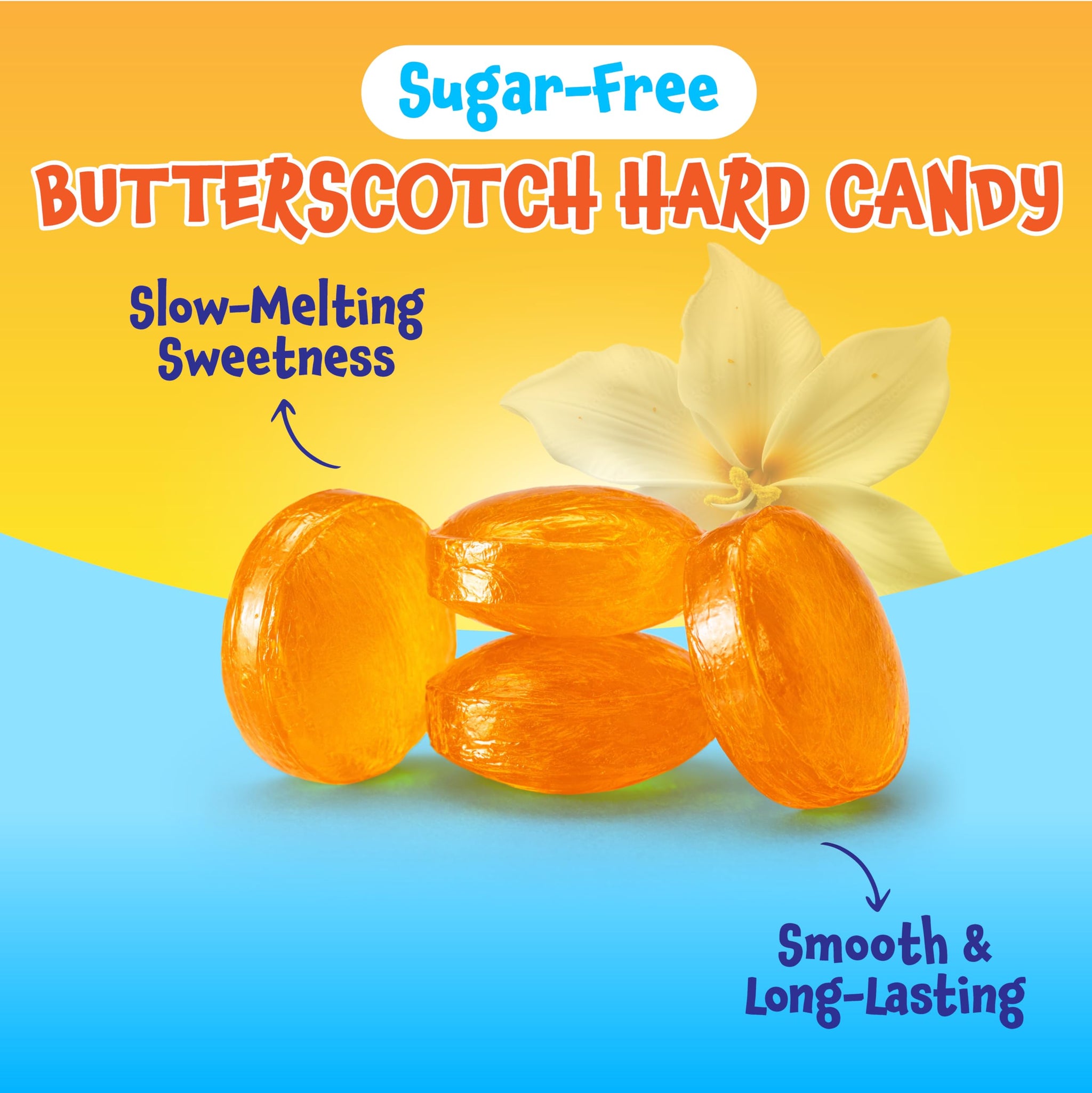 Sugar Free Butterscotch Hard Candy - 1 Pound Pack - Hard Candy Individually Wrapped - Sugarless Candies for Office Bowls, Snacking, Sharing