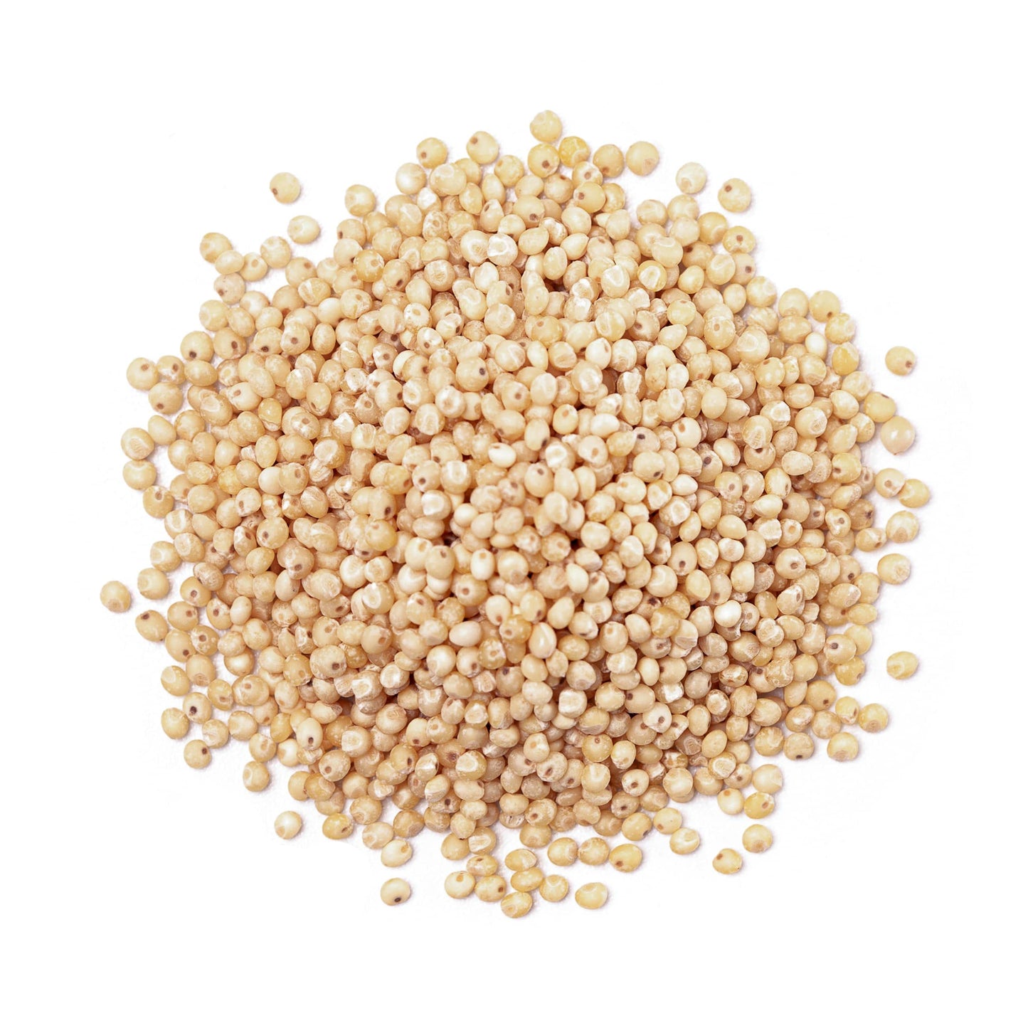 Food to Live Gluten Free Organic Whole Grain Sorghum, 1.5 Pounds - Non-GMO White Groats. Raw Milo Seeds. Vegan, Bulk Broom-corn. Durra is Great