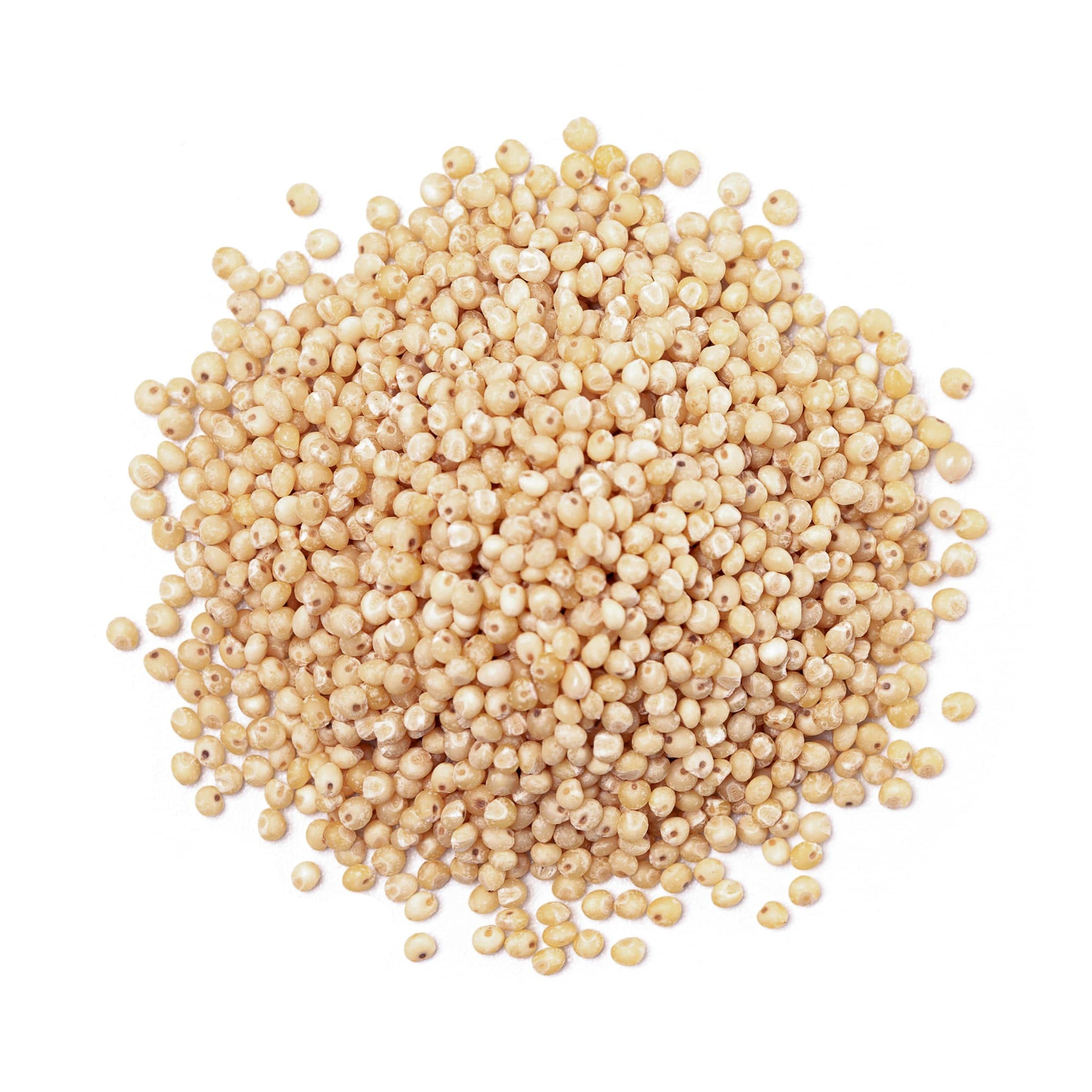 Food to Live Gluten Free Organic Whole Grain Sorghum, 1.5 Pounds - Non-GMO White Groats. Raw Milo Seeds. Vegan, Bulk Broom-corn. Durra is Great