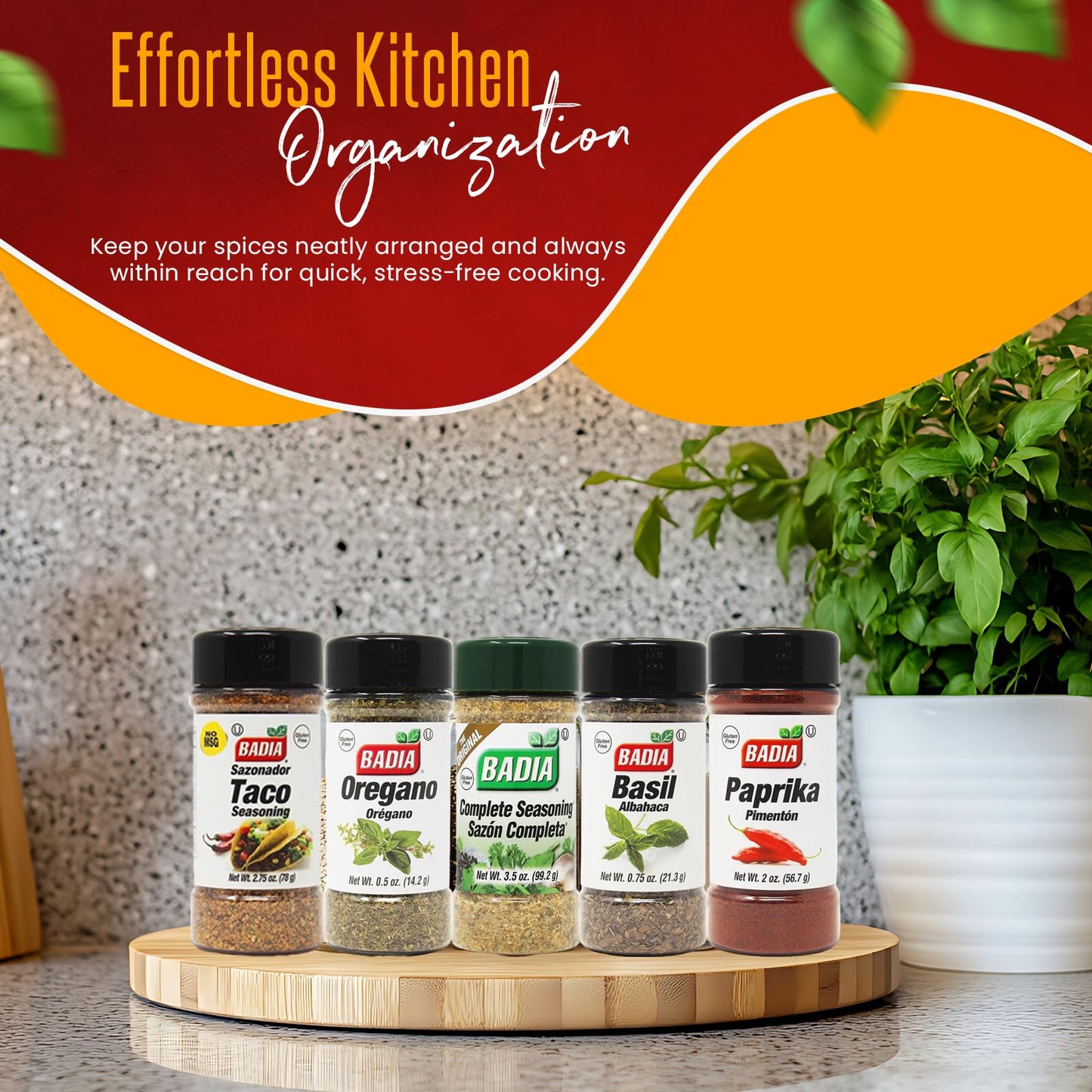 Spices and Seasonings Set - 12 Piece Spice Gift Set Plus D.F. LUXURY Measuring Spoon