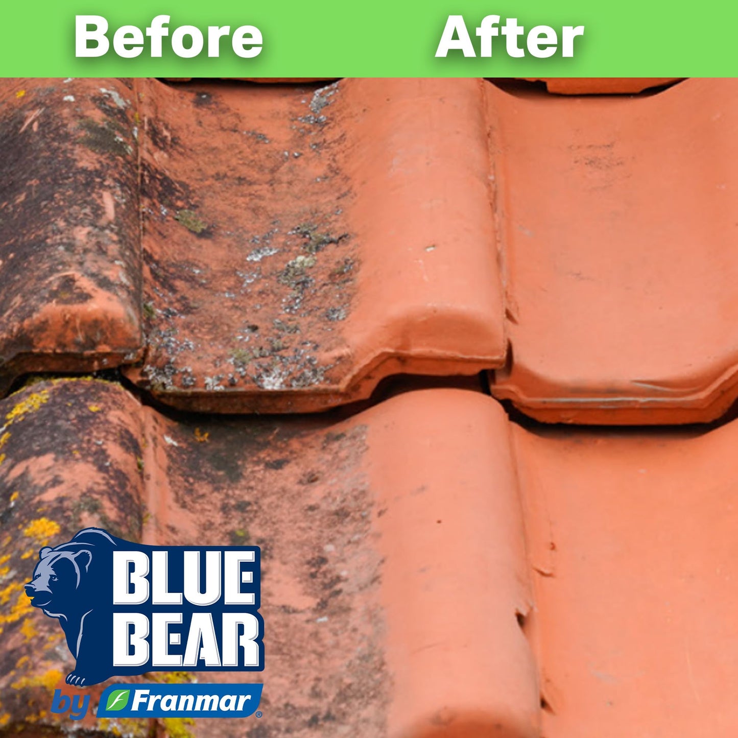 Blue Bear EBC Exterior Building Cleaner - Natural Fruit Acid Concentrate for Brick, Stone, Concrete & Metal-Removes Efflorescence, Lime Residue, Moss