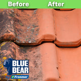 Blue Bear EBC Exterior Building Cleaner - Natural Fruit Acid Concentrate for Brick, Stone, Concrete & Metal-Removes Efflorescence, Lime Residue, Moss
