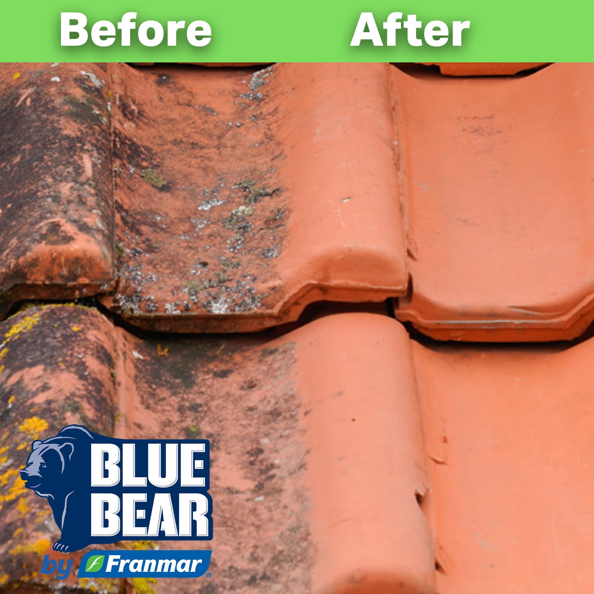 Blue Bear EBC Exterior Building Cleaner - Natural Fruit Acid Concentrate for Brick, Stone, Concrete & Metal-Removes Efflorescence, Lime Residue, Moss