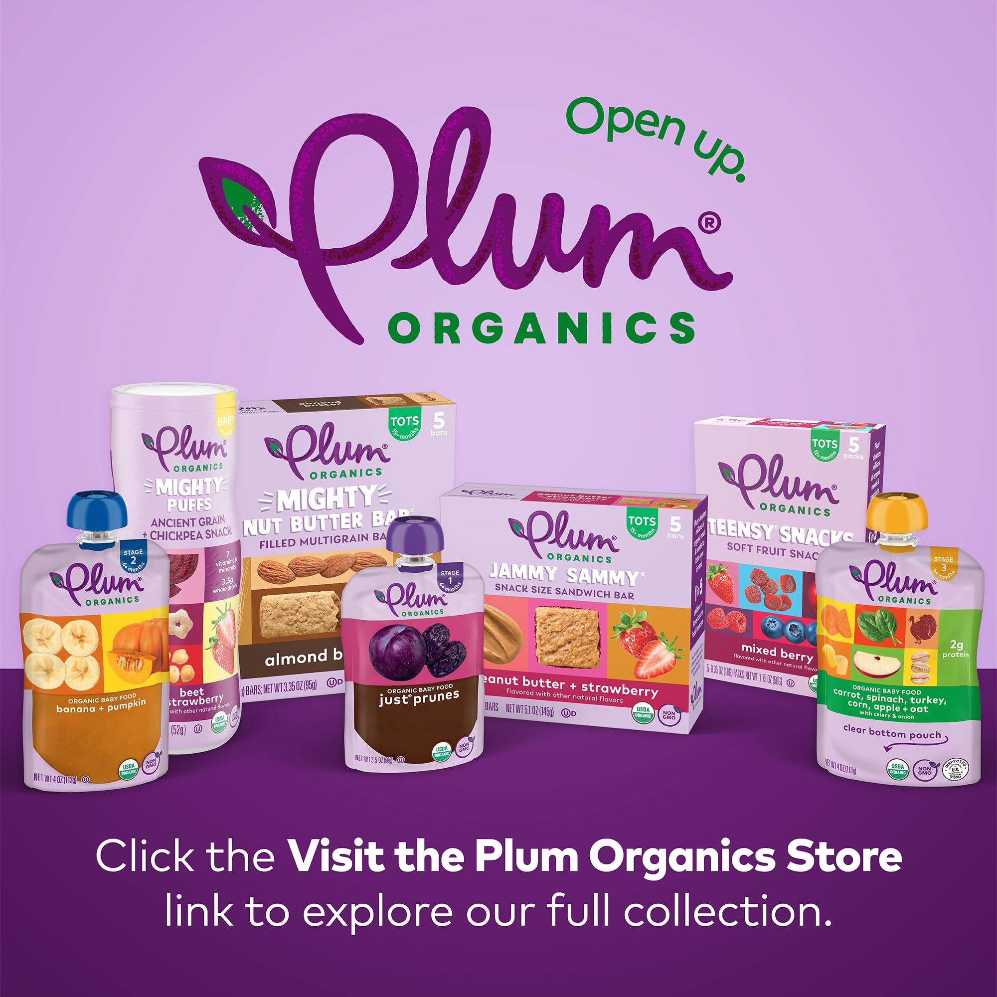 Plum Organics Teensy Snacks Soft Fruit Snacks - Mixed Berry - 0.35 oz Bags (Pack of 5) - Organic Toddler Food Fruit Snacks