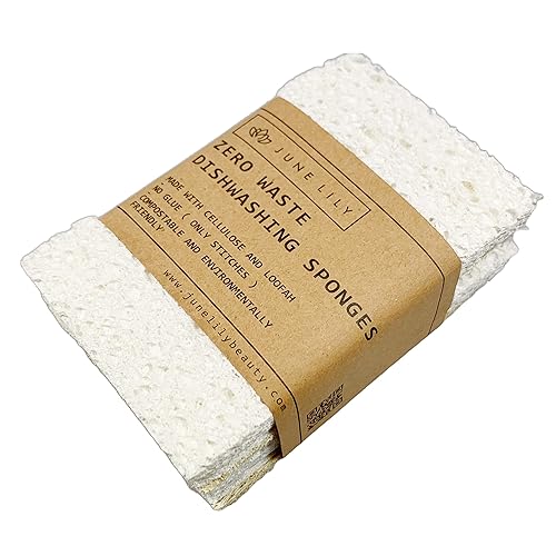 June Lily Natural Kitchen Dish Sponge Vegan Plant-Based for Dish Washing Home Cleaning - Each Pack Contains 2 Sponges (1 Pack)