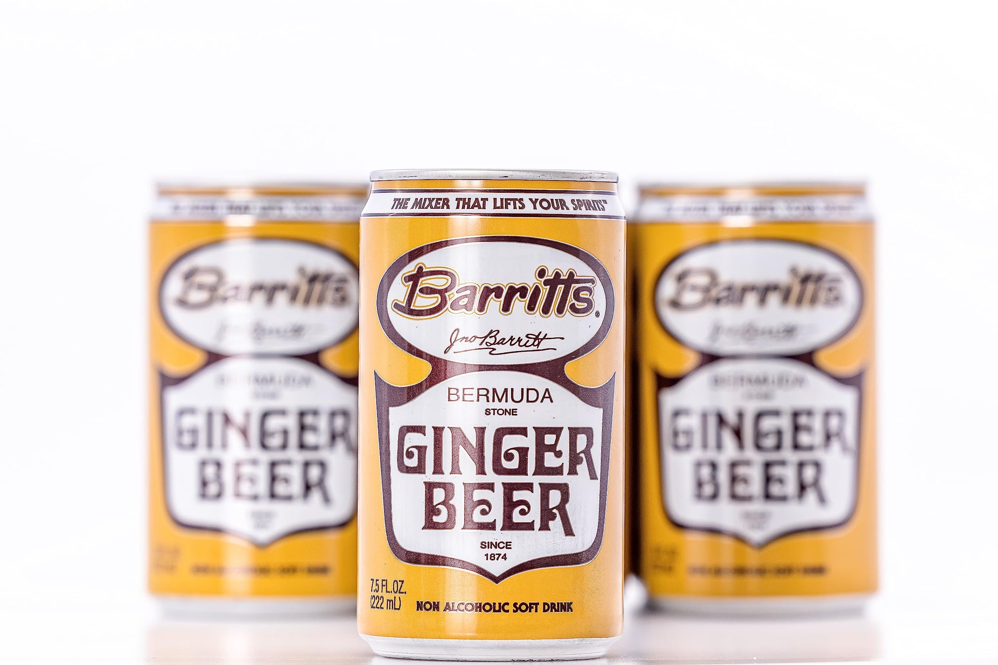 Barritt's Ginger Beer Original Ginger Beer, Non-Alcoholic Soda Cocktail Mixer, 7.5 fl oz Cans, 24 Pack, Mini, Gluten Free