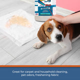 Chem-Girl OxyPro Concentrated Multi-Purpose Surface Cleaner to the Rescue - Chlorine-Free, Oxygen-Powered Stain & Odor Remover, 5 Percent Hydrogen
