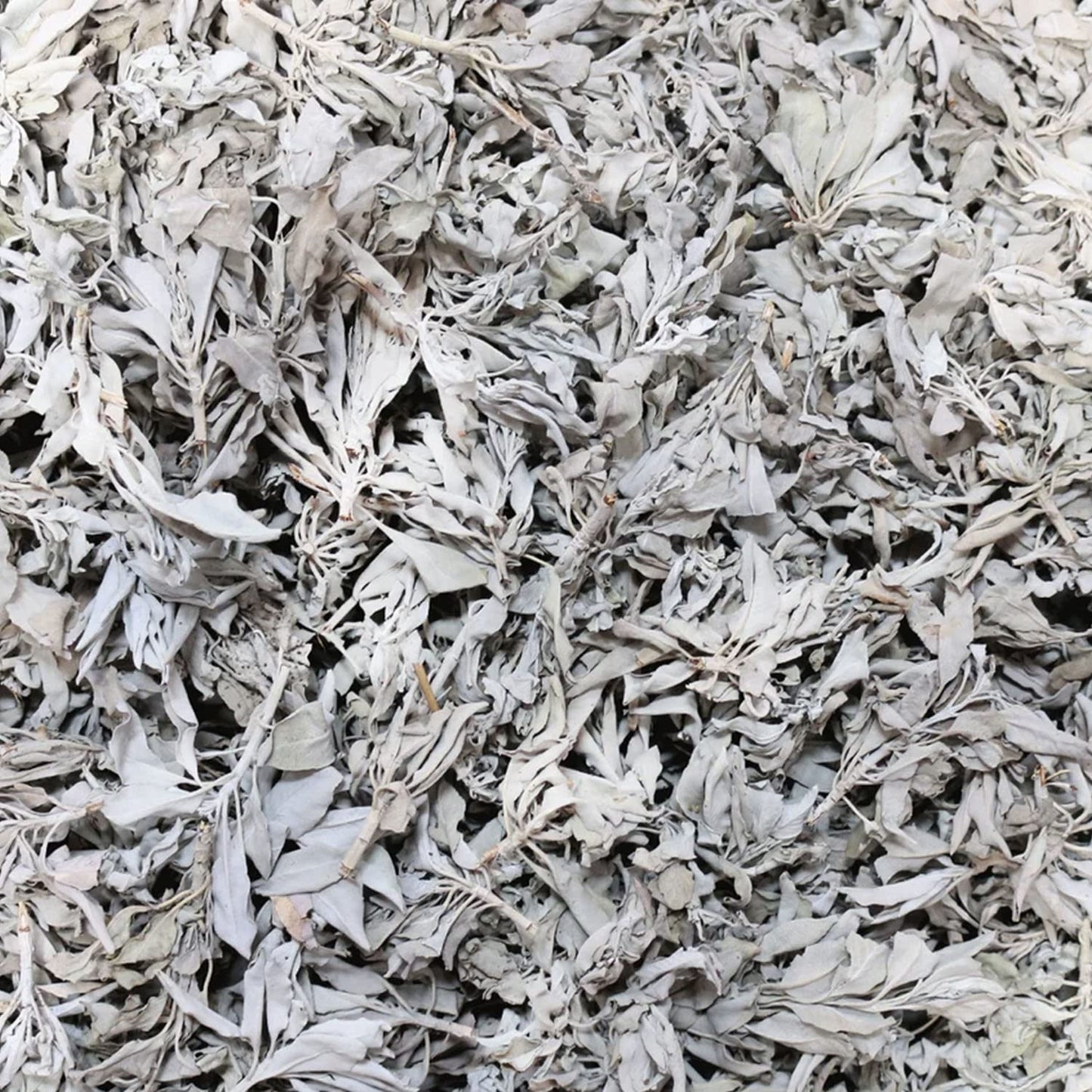 SOUL STICKS California White Sage Organic Loose Clusters Leaves Bulk for Cleansing, Purification, Meditation, Smudging and Negativity Clearing (3 lbs)
