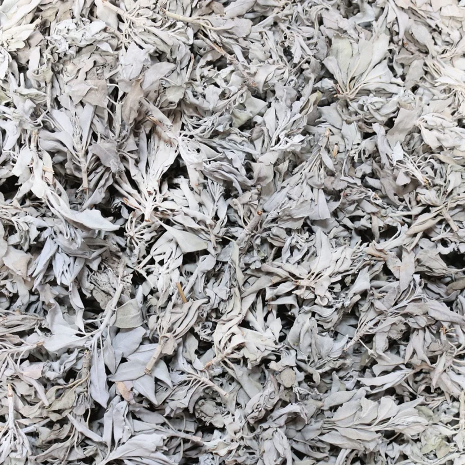 SOUL STICKS California White Sage Organic Loose Clusters Leaves Bulk for Cleansing, Purification, Meditation, Smudging and Negativity Clearing (3 lbs)