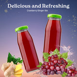 LLE Canada Dry Powder Drink Mix Cranberry Ginger Ale Flavor, Sugar Free & Delicious Water Enhancer Easy to Prepare Powdered Beverages for Picnic
