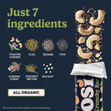 Tosi Nut Bars, Cashew, Healthy Snacks for Adults & Kids, Plant Based Crunchy Bars (6G Protein), Organic Keto Snacks, Vegan, Gluten & Soy Free, Low