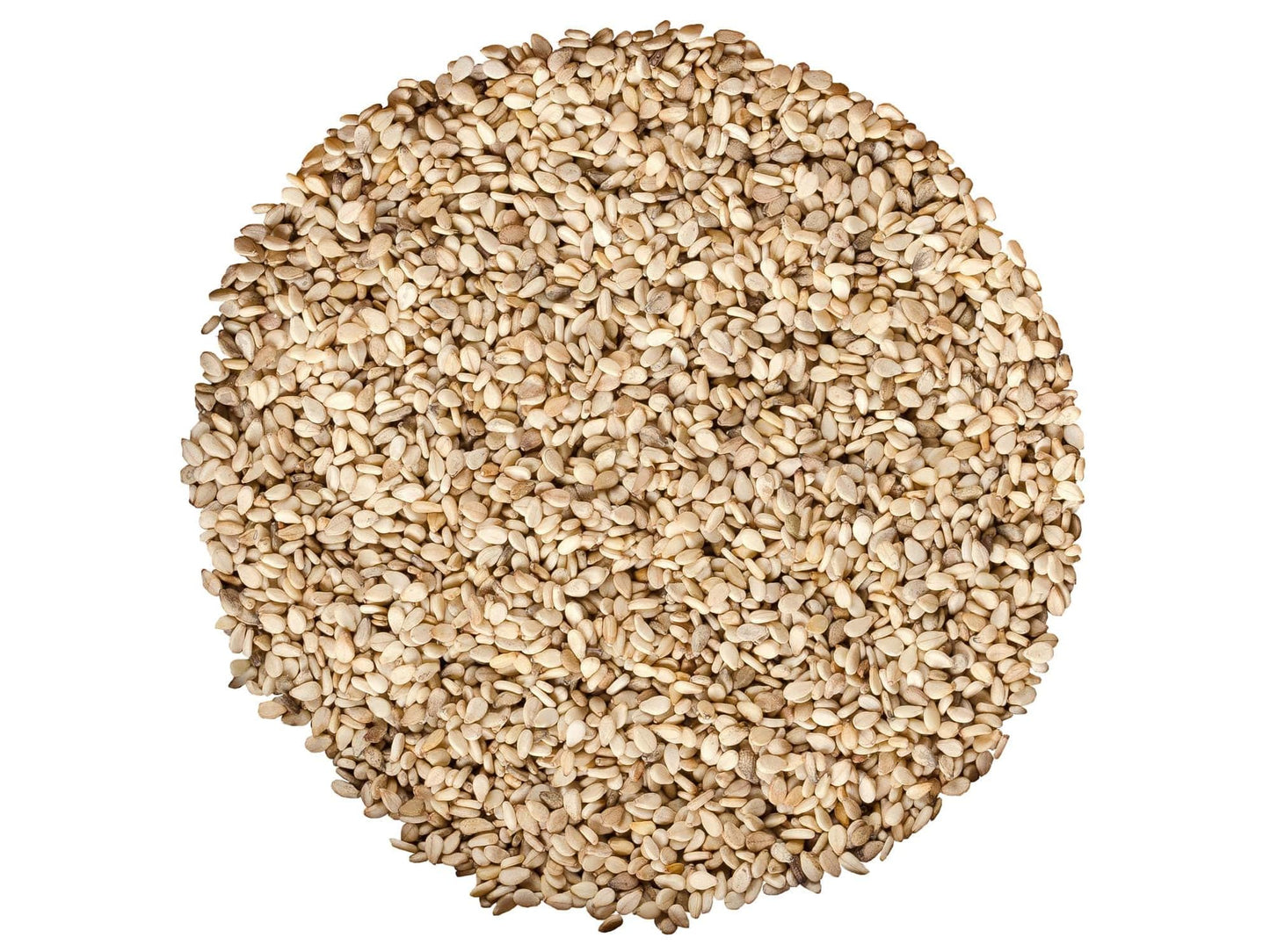 Food to Live Organic Unhulled Sesame Seeds, 16 Pounds - Non-GMO, Whole Natural Raw White Sesame Seeds, Kosher, Vegan, Bulk, Rich in Dietary Fiber