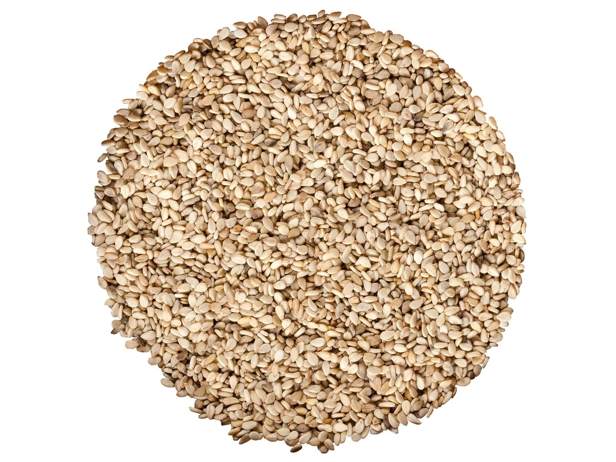 Food to Live Organic Unhulled Sesame Seeds, 16 Pounds - Non-GMO, Whole Natural Raw White Sesame Seeds, Kosher, Vegan, Bulk, Rich in Dietary Fiber