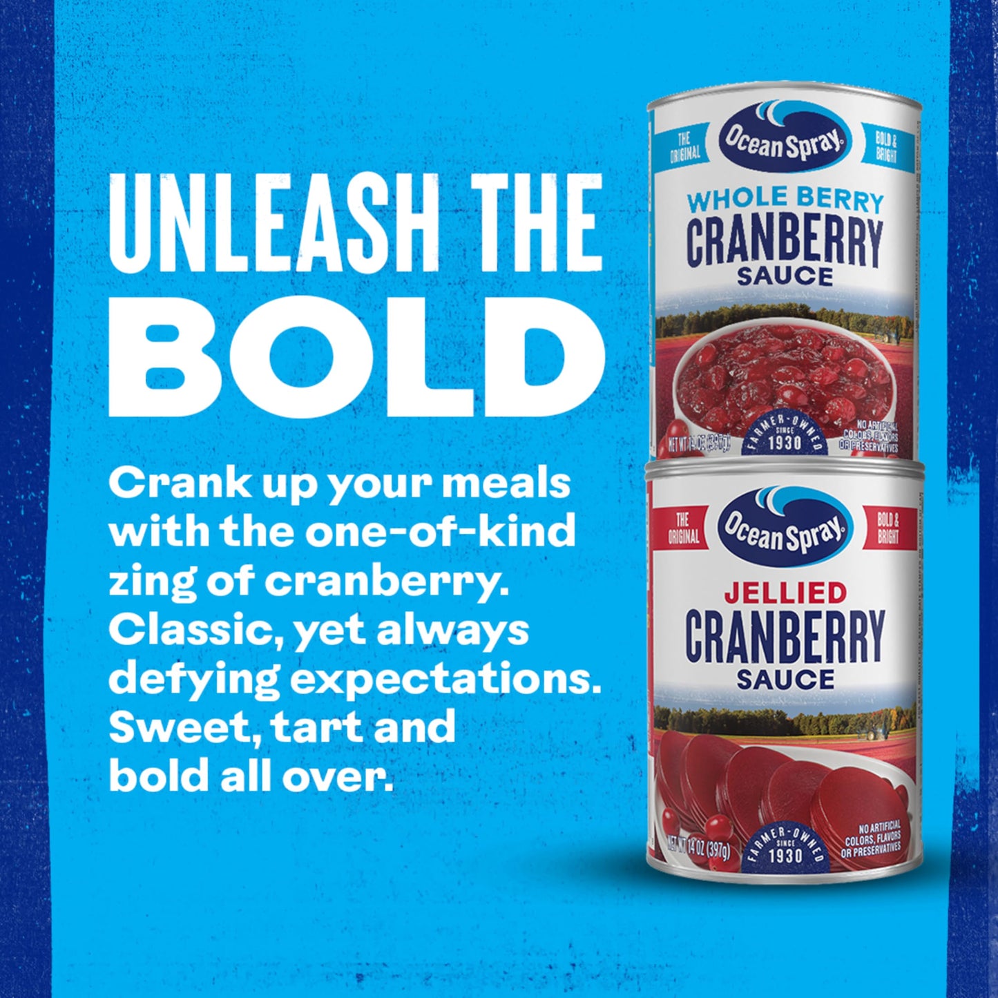 Ocean Spray Whole Cranberry Sauce, Canned Side Dish, 14 Oz Can (Pack of 1)