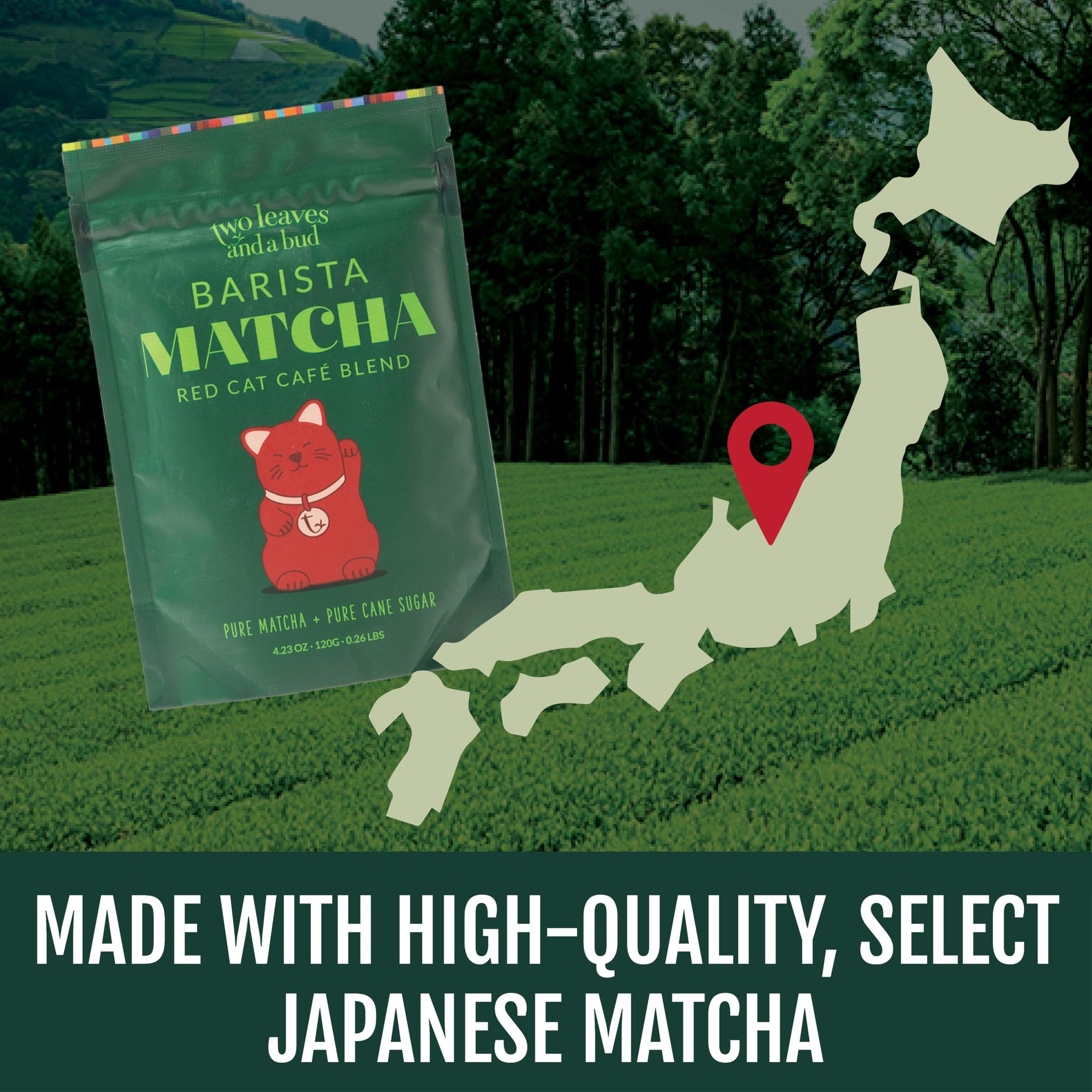 Two Leaves and a Bud Barista Matcha Sweetened Latte Blend, Japanese Matcha Green Tea Powder, 2 Resealable Bags, 240 grams