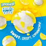 Lemonhead Freeze Dried Candy, Lemon Flavored, Recloseable Bag 4.0 oz