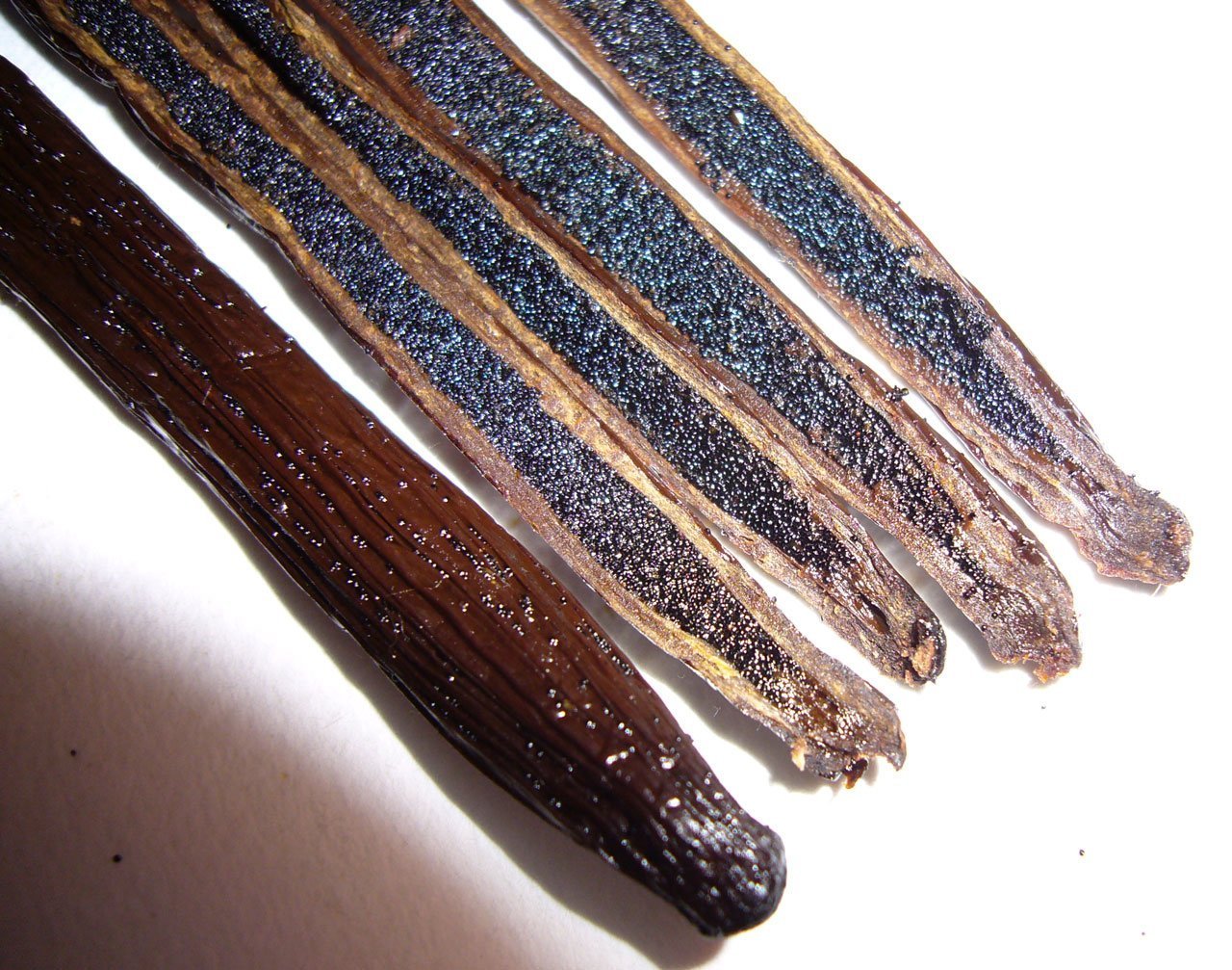 1/2 LB Mexican Vanilla Beans Whole Grade A Gourmet Vanilla Pods for Homemade Vanilla Extract and Baking from Veracruz, Mexico - 8 Ounces