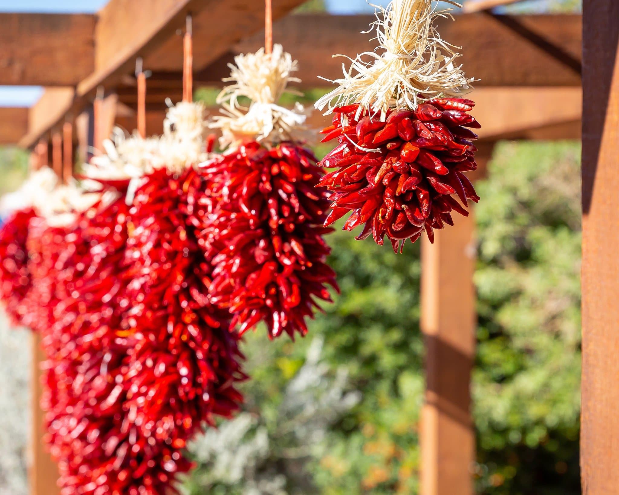 Chile Pequin Ristra (2 ft)