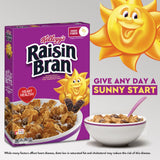 Kellogg's Raisin Bran Breakfast Cereal, High Fiber Cereal, Made with Real Fruit, Family Size, Original, 24oz Box (1 Box)