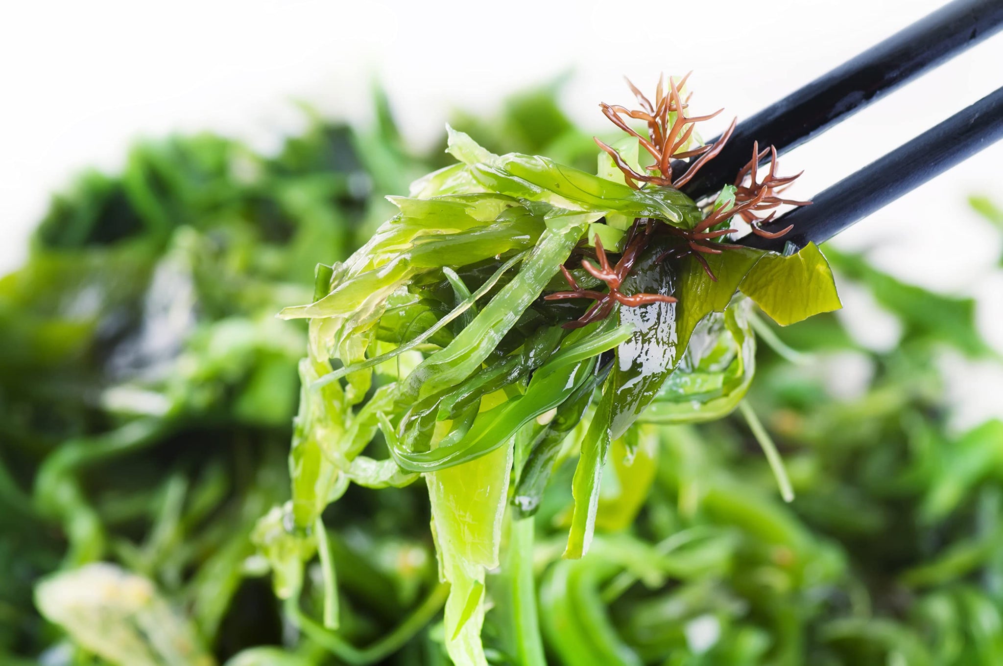 Kaneyama Seaweed Flower Salad 20g (Seaweed Flower Salad 20g 1 Pack)